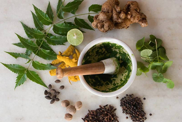 naturopathic medical conferences 2016