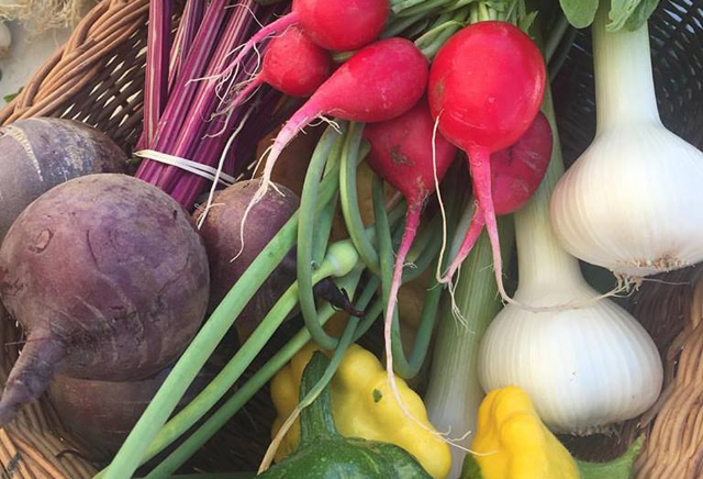 island-harvest-food-distribution-for-senior-citizens-at-riverhead-free